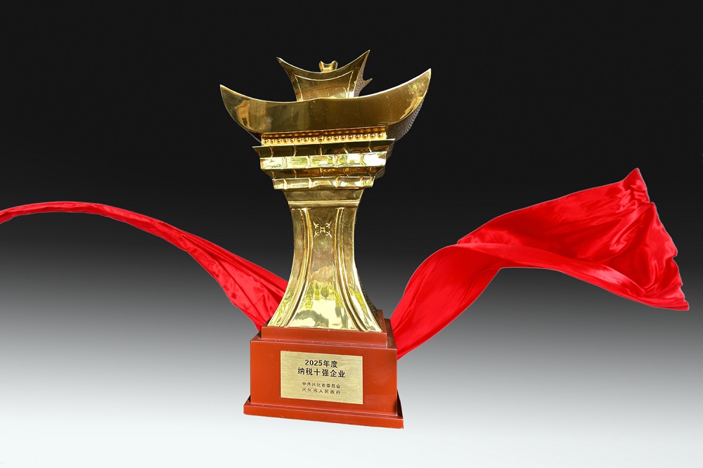 2025年度興化市納稅十強企業